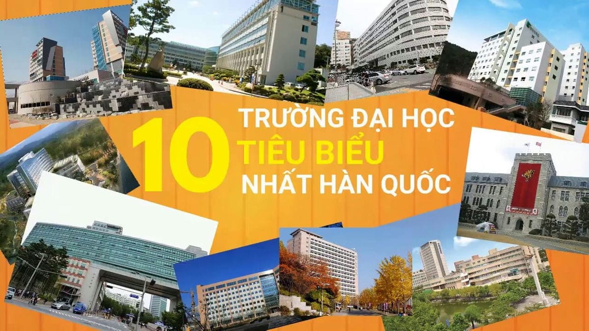 trường đại học