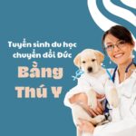 Tuyển sinh du học chuyển đổi Đức bằng Thú Y