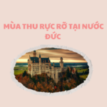 MÙA THU RỰC RỠ TẠI NƯỚC ĐỨC