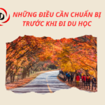 Những Điều Cần Chuẩn Bị Trước Khi Đi Du Học