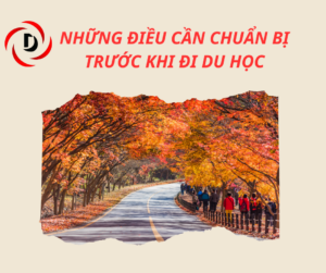 Những Điều Cần Chuẩn Bị Trước Khi Đi Du Học