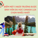 ĐIỂM MẶT 5 NGÔI TRƯỜNG ĐƯỢC SINH VIÊN DU HỌC CANADA LỰA CHỌN NHIỀU NHẤT