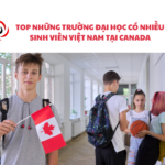 TOP NHỮNG TRƯỜNG ĐẠI HỌC CÓ NHIỀU SINH VIÊN VIỆT NAM TẠI CANADA